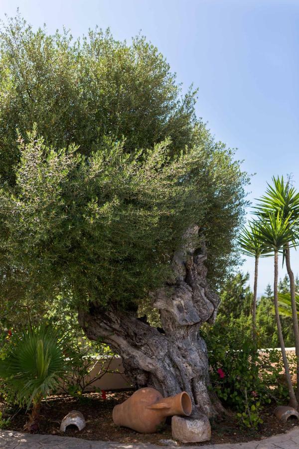 Villa Ca Na Vinya Cala Tarida  Kültér fotó